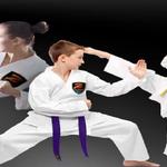 Z-Ultimate Self Defense Studios - photo 2