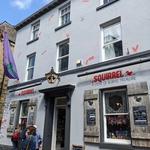 Squirrel A store of buried treasure - photo 2