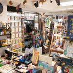 Squirrel A store of buried treasure - photo 4