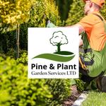 Pine and Plant Garden Services LTD - photo 1