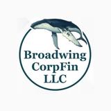 Broadwing CorpFin (CFO Services) - Professional Services in West Lake Hills