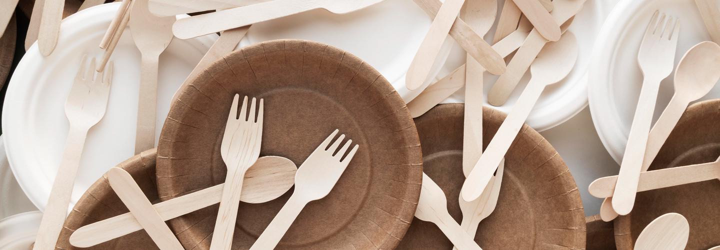 Ecolates cover photo