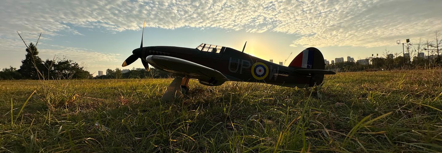 DynamRC EU cover photo