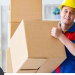 True North Mover's - photo 1