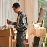 True North Mover's - photo 3