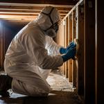 Legacy Home Restoration - photo 2