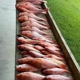 Top Cat Fishing Charters - Fishing in Crystal City