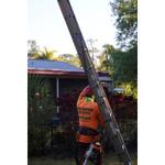 Paul Stetson Tree Service and Pressure Cleaning - photo 1