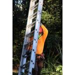 Paul Stetson Tree Service and Pressure Cleaning - photo 2