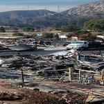 Elite Restoration Solutions - photo 3