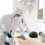 Elite Restoration Solutions - photo 5