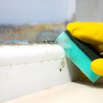 Elite Restoration Solutions - photo 6