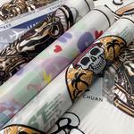 Raccoon Transfers - photo 4