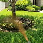 Nature's Restore - photo 1