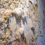 UK Leak Detection - photo 1