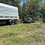 TreeForce QLD - photo 1