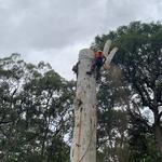TreeForce QLD - photo 3