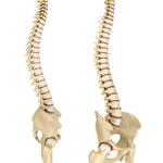 Spinal Surgery Clinic - photo 1