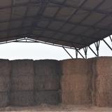 Alabama Pole Barn Builders - Home Builders & Building Contractors in Opelika