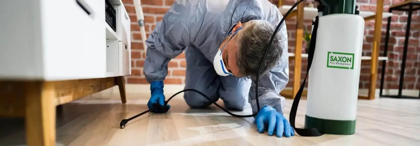 Saxon Pest Management  cover photo