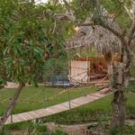 Amend Treatment - photo 7