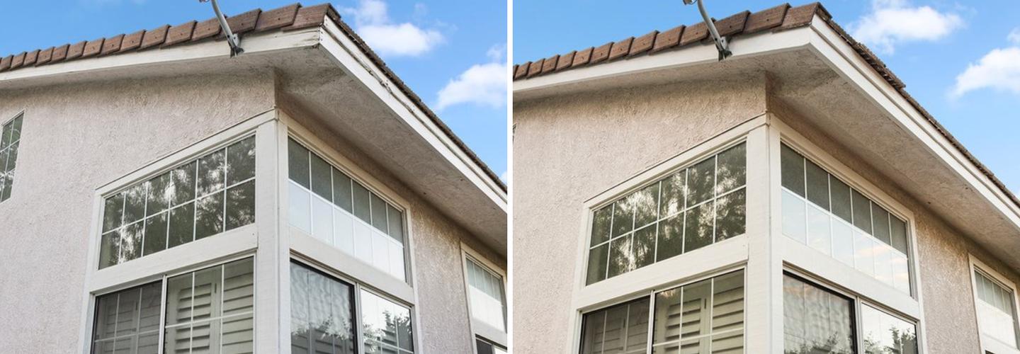 K Termite cover photo