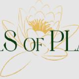 Walls of Plants - Home Services in Wetherby