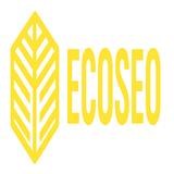 EcoSEO SEO Agency - Advertising in Cape Town