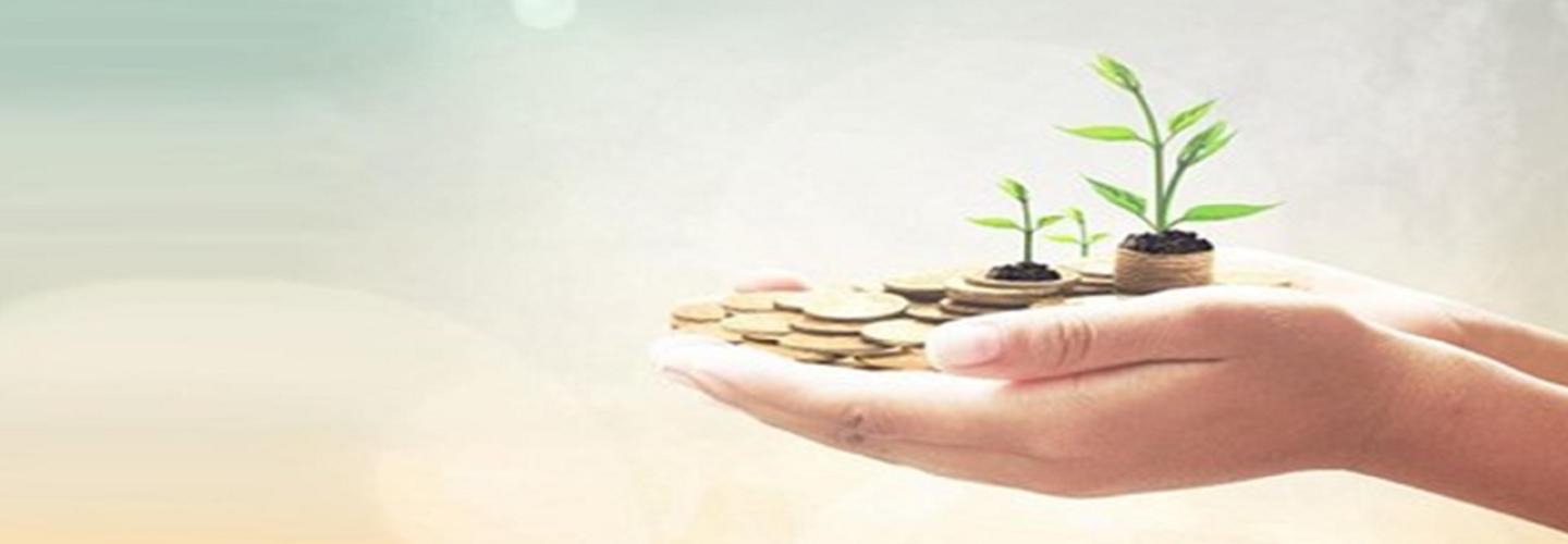 R D P Accountants cover photo