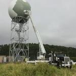 Arborist Services, LLC - Hawaii - photo 2