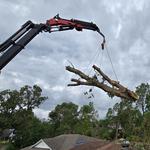 Elite Tree Service LLC - photo 3