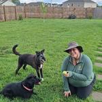 Show-Me Scoopers Pooper Scooper  - photo 1