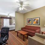 Best Western Plus Gadsden Hotel & Suites - photo 7