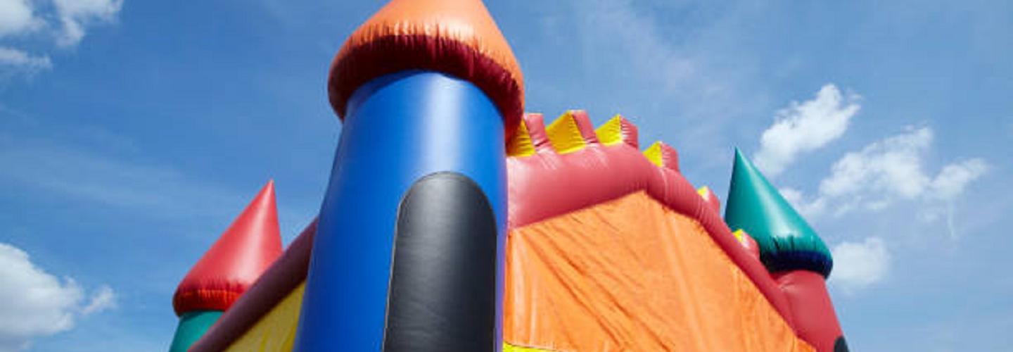 The Bounce Palace cover photo