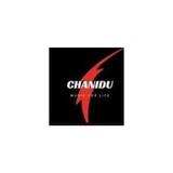 Chanidu Music Store - Shopping in Edison