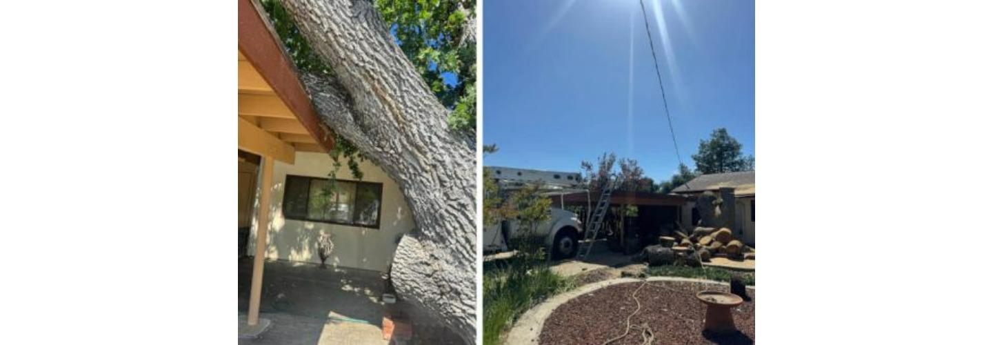 Golden State Tree Service cover photo