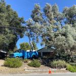 Golden State Tree Service - photo 1