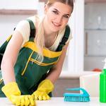 osmcleaning - photo 1