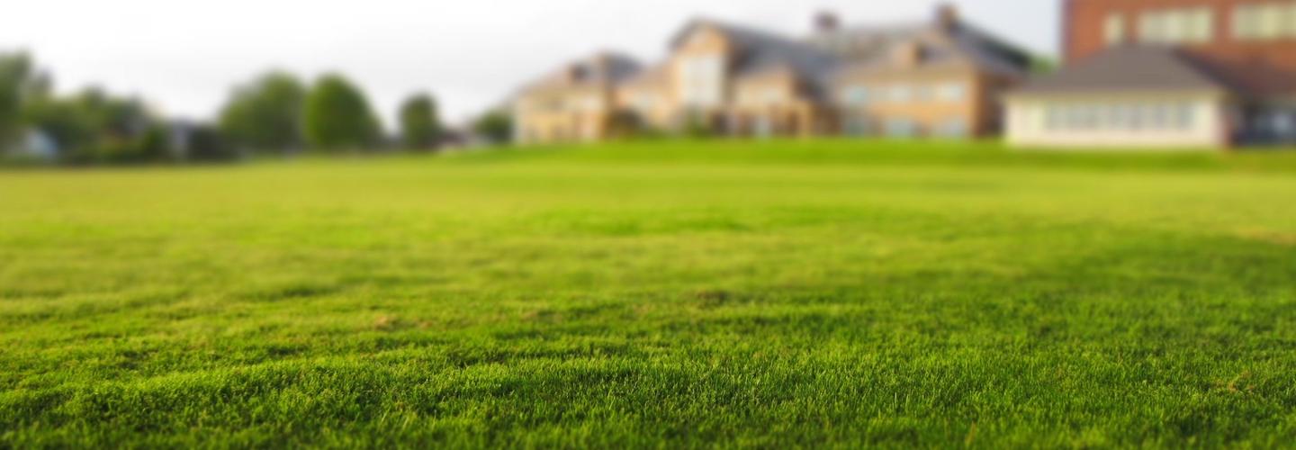 Clean Cut Lawn Care cover photo