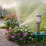 Clean Cut Lawn Care - photo 1