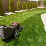 Clean Cut Lawn Care - photo 2