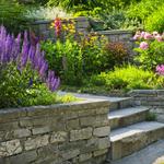 Clean Cut Lawn Care - photo 3