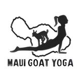 Maui Goat Yoga - Yoga in Kula