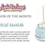 Sinfully Sweet Apple Company - photo 1