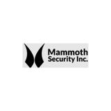 Mammoth Security Inc. New Haven - Home Security Systems in New Haven