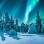 Photographer Talk - photo 7