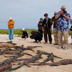 Galapagos Cruise Company  - photo 2