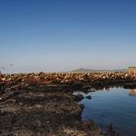 Galapagos Cruise Company  - photo 3