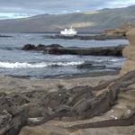 Galapagos Cruise Company  - photo 4