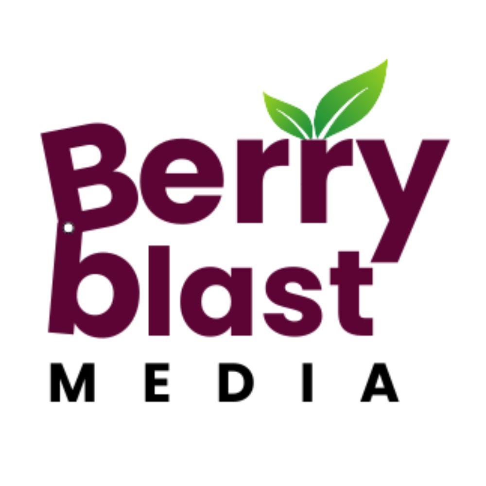 Berry Blast Media - Digital Marketing Agency in Mumbai  - Digitizing Services